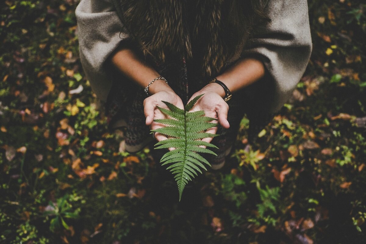 MEDIOAMBIENTE