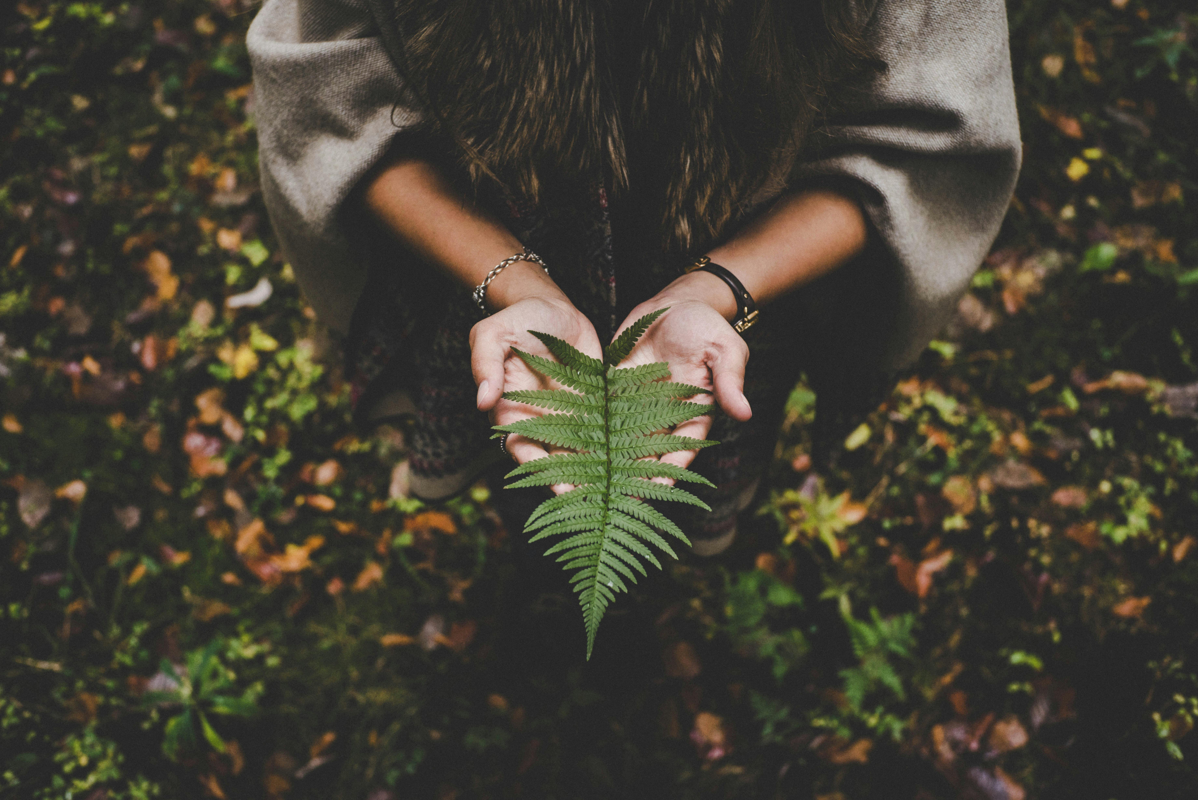 Medioambiente